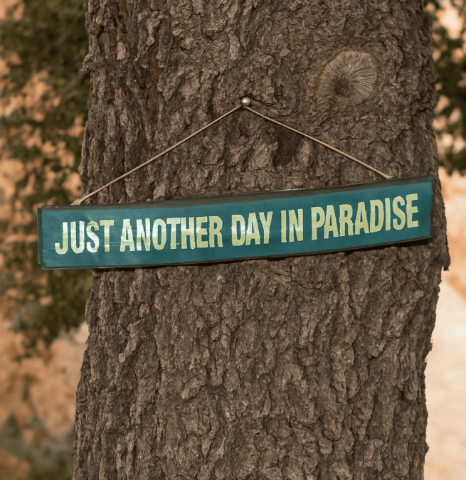 BCO.fc9c1e1f-0aad-4da9-8478-29a590c555b1 (1)