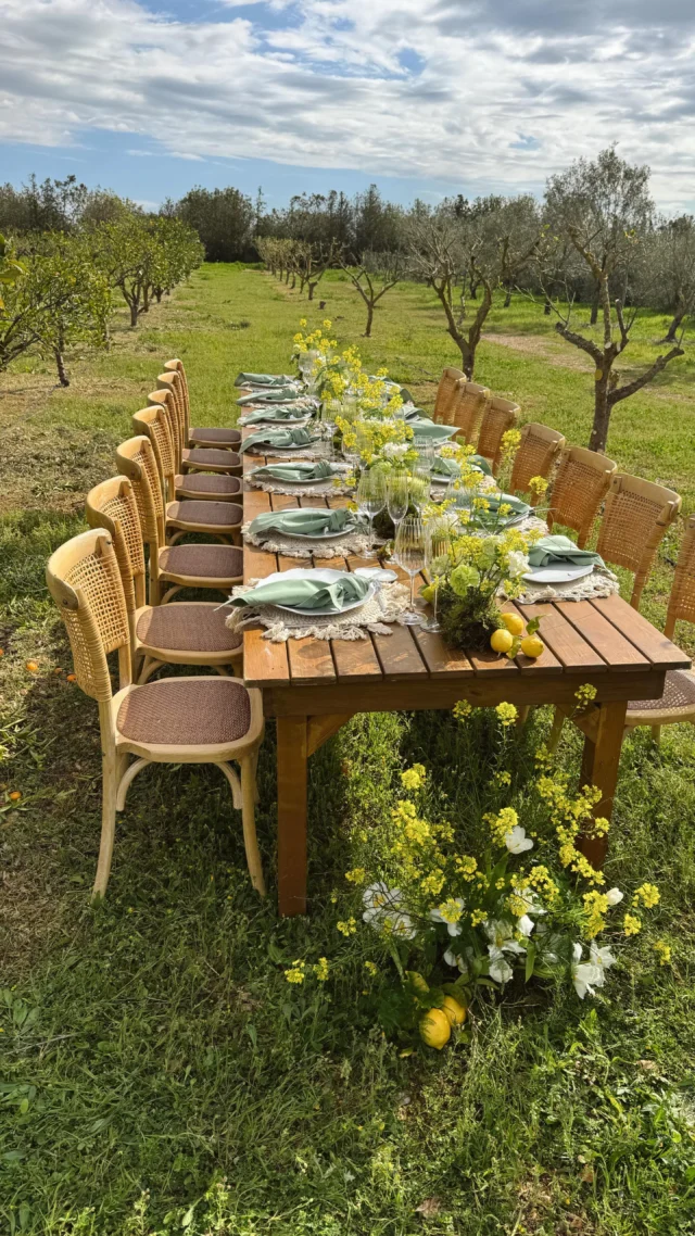 🌿✨ Imagine enjoying a countryside meal on a charming finca in Mallorca, surrounded by nature and authentic beauty.  A place that feels like a dream, perfect for MICE meetings or team gatherings.  At Bolita Events, we offer a unique experience for your event, combining local gastronomy and an incomparable setting.  Make your next meeting unforgettable! 🌼