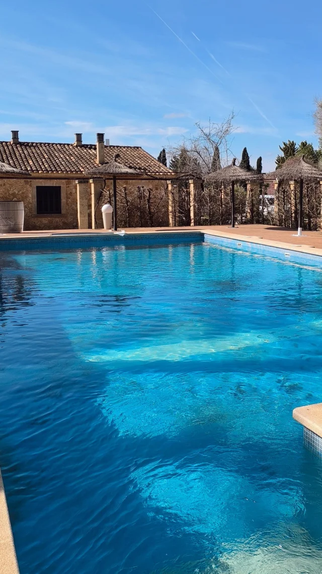 🌿✨ Turn your corporate event into a unique experience! At Bolita Events, we offer the opportunity to host meetings, incentives, or team buildings in exclusive fincas in Mallorca.  Surrounded by nature, history, and an authentic setting, Your private events will be unforgettable.  Make your next meeting a special moment!  Contact us for more information: 
✉️ m.wevers@bolita-events.com  #bolitaevents #micemallorca #mediterraneanmeetings #eventsmallorca #malllorcaevents #eventagentur #corporateventsmallorca #businesseventsmallorca #eventmanagementmallorca #businessdinnermallorca #companyeventsmallorca