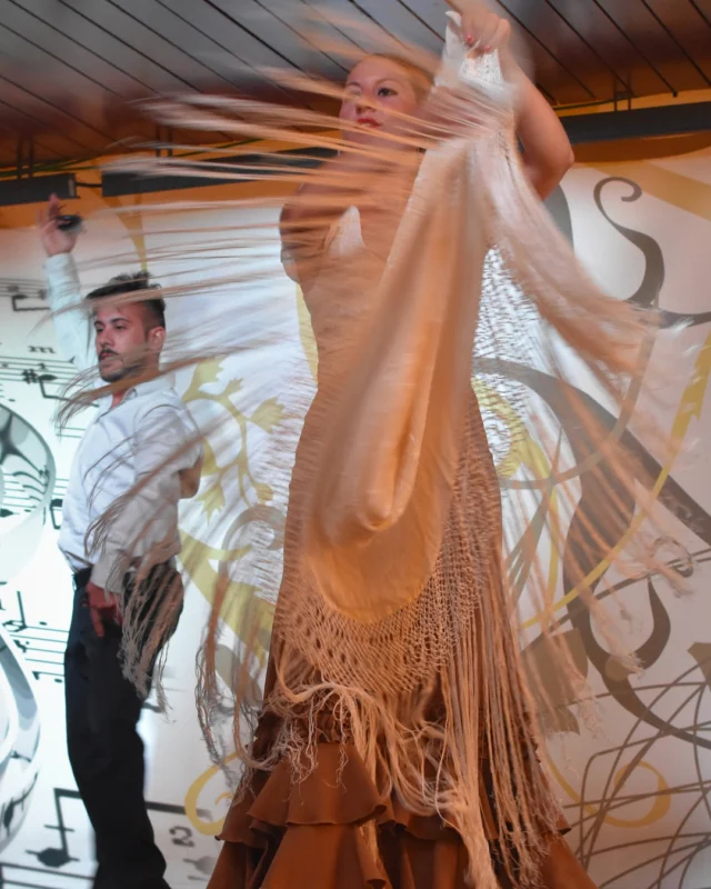 A few days ago, at a hotel in Mallorca, we hosted a very special sevillanas and flamenco session 💃 with #BolitaEvents for a MICE group.  An experience full of rhythm, culture, and fun that turned a corporate meeting into an unforgettable moment 🎶  Activities like this are perfect icebreakers — they connect teams, spark laughter, and bring the spirit of southern Spain to life right here on the island.  Thank you for dancing with us! 💥  Contact us for more information: 
✉️ m.wevers@bolita-events.com  #bolitaevents #micemallorca #mediterraneanmeetings #eventsmallorca #malllorcaevents #eventagentur #corporateventsmallorca #businesseventsmallorca #eventmanagementmallorca #businessdinnermallorca #companyeventsmallorca