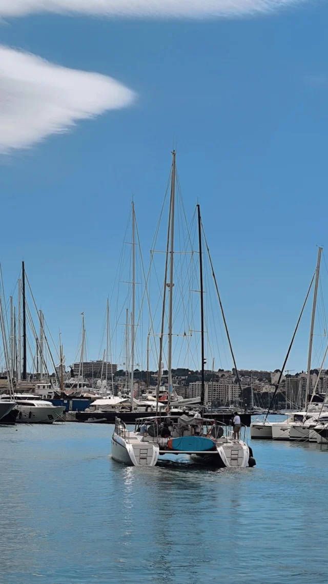 To offer the best experiences, you have to live them first. Testing boats to add to our list of activities 🤩  If you are thinking of celebrating your MICE meeting in Mallorca, this is one of the most popular activities. Shall we talk?
✉️ m.wevers@bolita-events.com  #bolitaevents #micemallorca #mediterraneanmeetings #eventsmallorca #malllorcaevents #eventagentur #corporateventsmallorca #businesseventsmallorca #eventmanagementmallorca #businessdinnermallorca #companyeventsmallorca